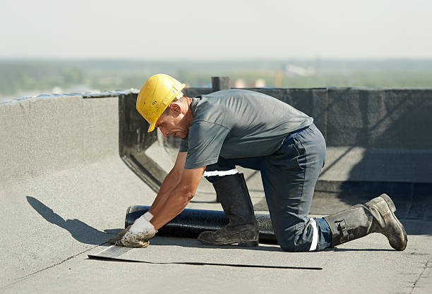  Samson, AL Insulation Contractor Pros