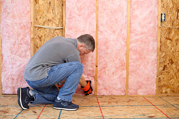 Best Insulation Maintenance and Repair in Samson, AL